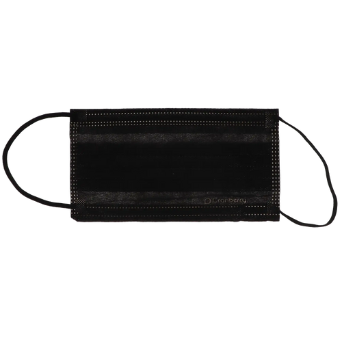 BeeSure Carbon Earloop Face Masks