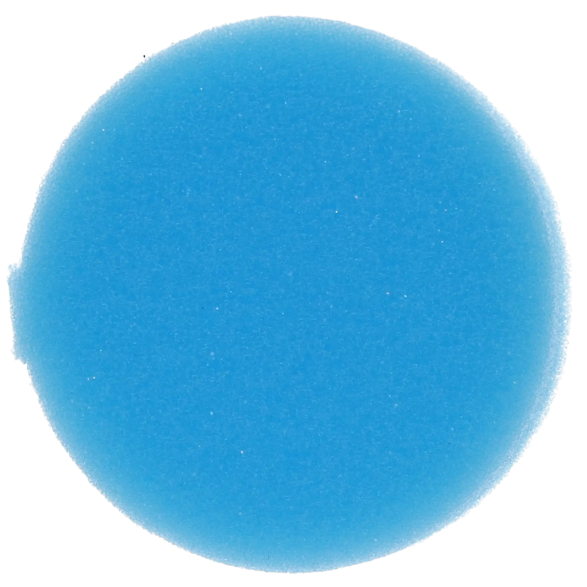 Round Foam Inserts, Blue, 48/Pack - Complete Buyer’s Guide