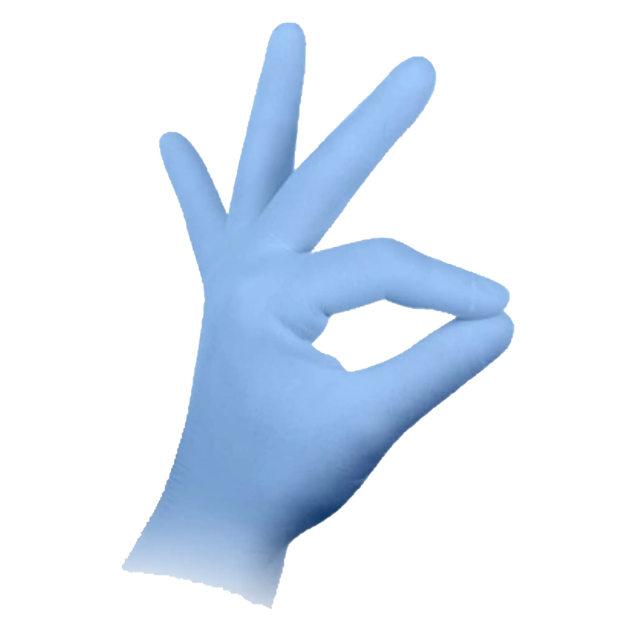HSB - Nitrile Gloves, Blue, Large 100/Bx