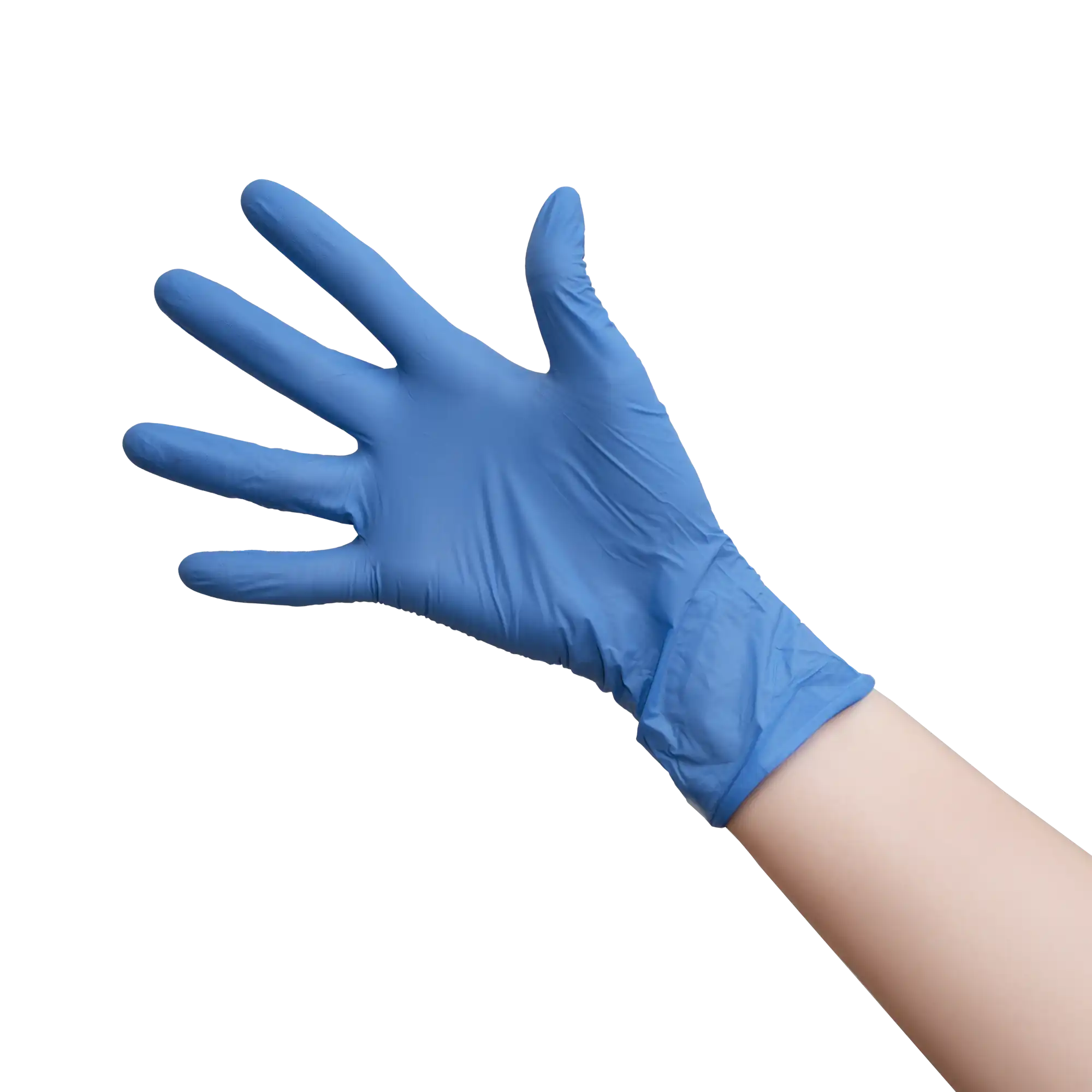 Aurelia Transform Nitrile Gloves, Powder-Free, Textured, Blue, Medium, 200/Box - Complete Buyer’s Guide