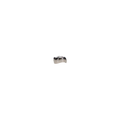 Stainless Steel Crown Form, Lower Left 2nd Primary Molar, #3, Box of 5 - Complete Buyer’s Guide